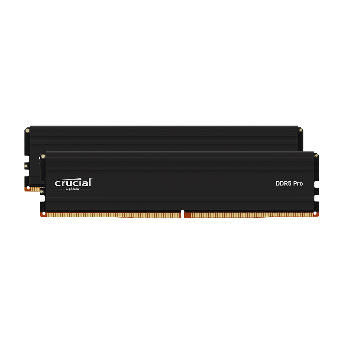 Crucial Pro DDR5-5600 96GB (2x48GB) UDIMM kit — official product render