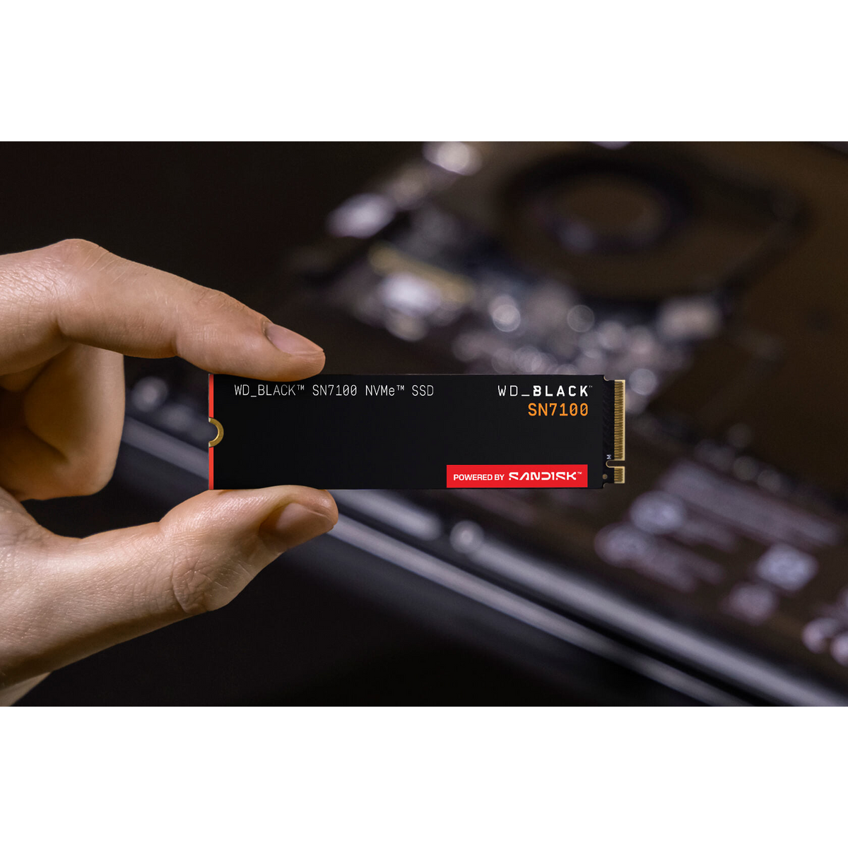 WD_BLACK SN7100 1TB NVMe SSD — held in hand for scale
