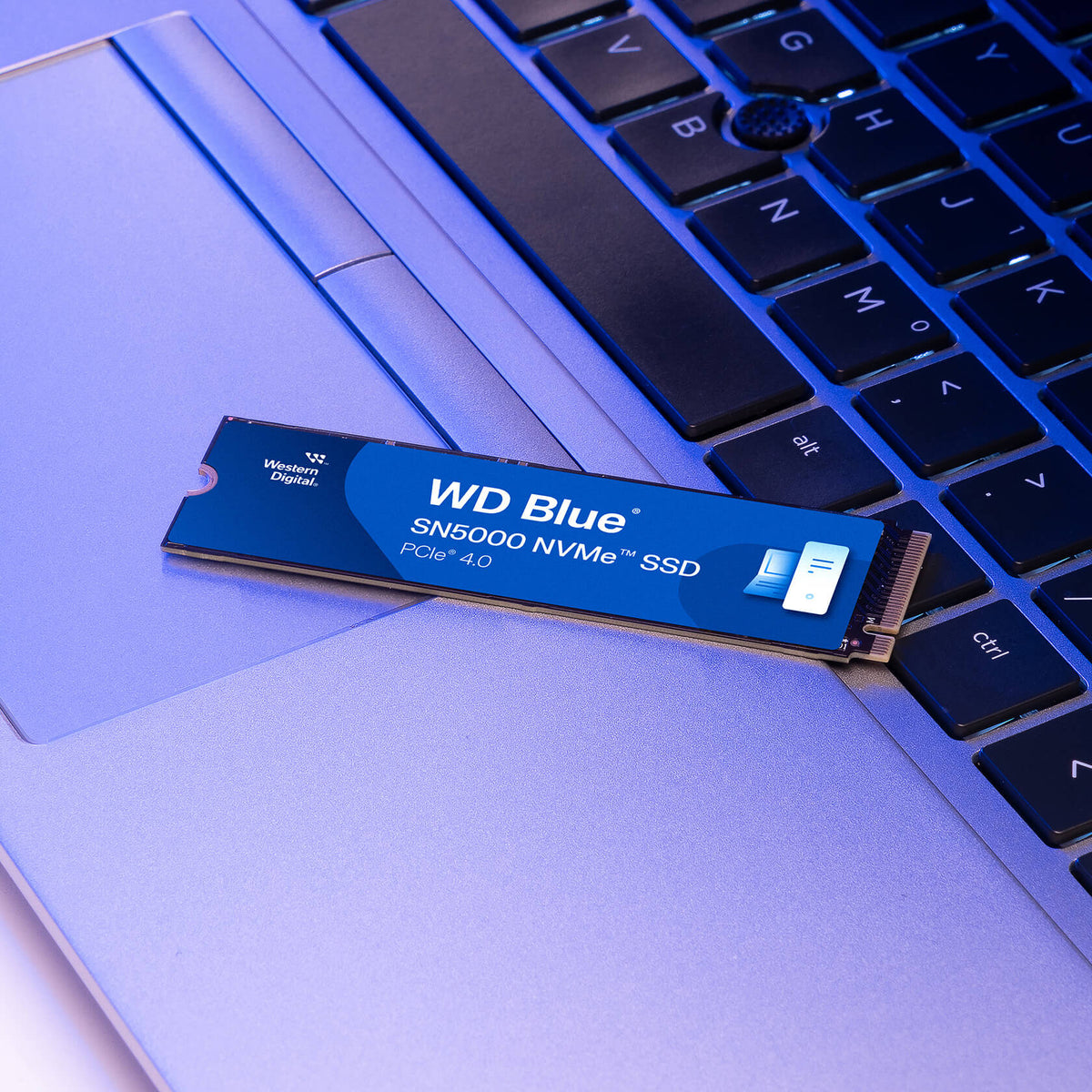 WD Blue SN5000 500GB NVMe PCIe 4.0 SSD — shown beside a laptop for scale