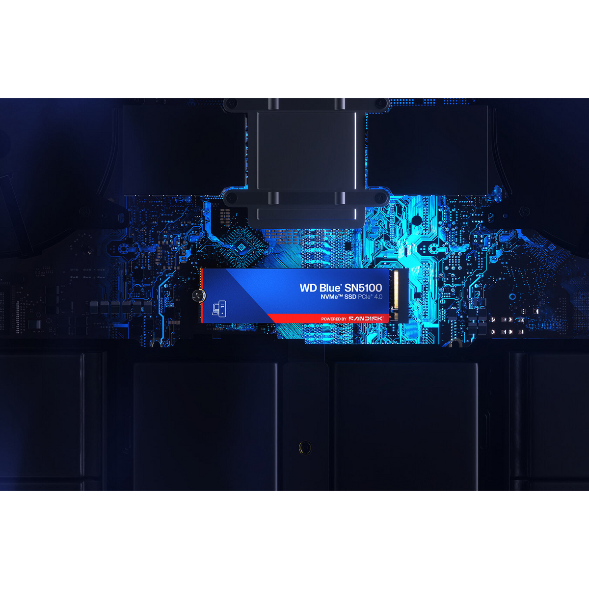 WD Blue SN5100 1TB NVMe SSD — seated on a motherboard